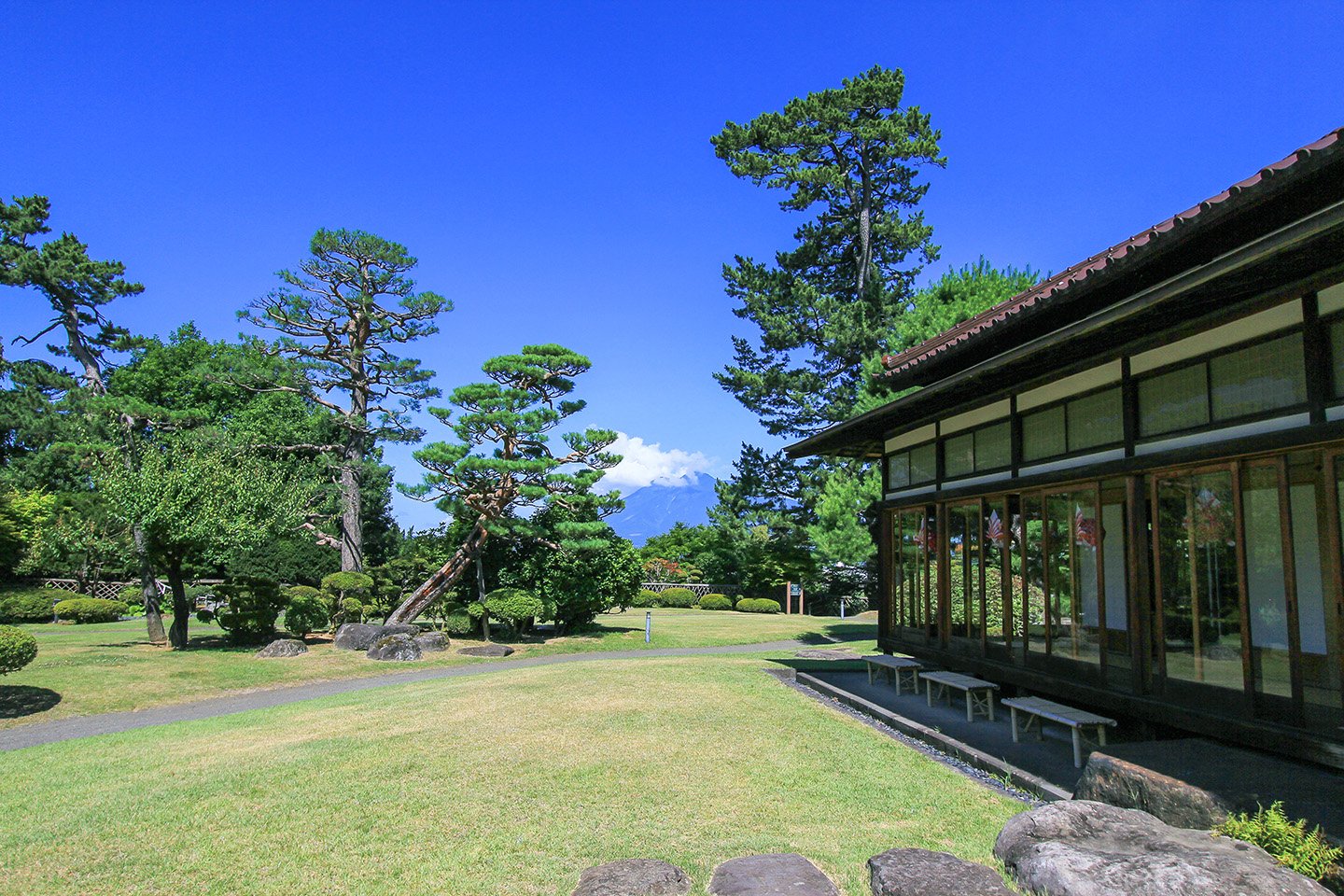 🌸 후지타 기념 정원(후지타키넨테이엔) 이미지 7
